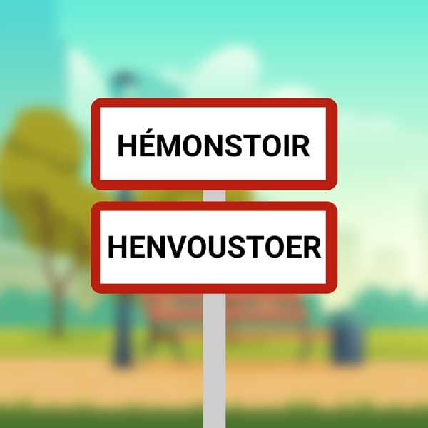 Dépannage informatique à domicile à Hémonstoir