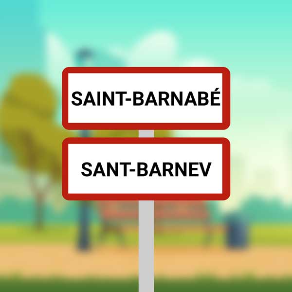 Dépannage informatique à domicile à Saint Barnabé